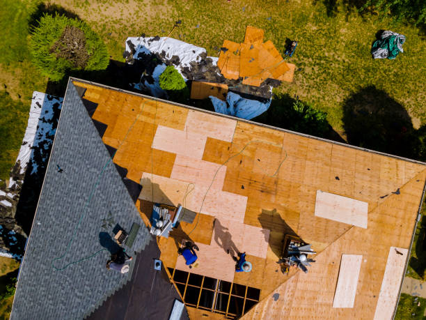 Best Metal Roofing Contractor  in Spring City, UT