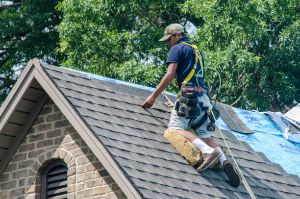 Best Roof Gutter Cleaning  in Spring City, UT
